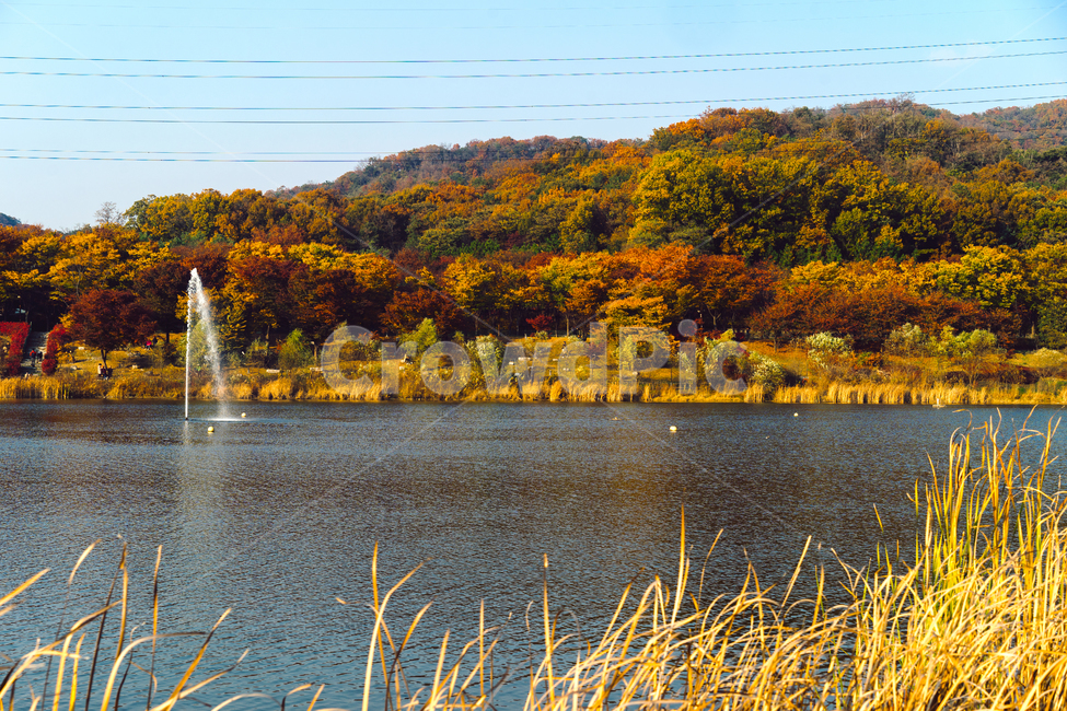 자연,풍경,가을,감성,낙엽,감성사진,나뭇잎,가을,계절,fall,autumn,season,자연,풍경,nature,landscape,한국자연풍경,한국자연경관,korea nature landscape,water,물