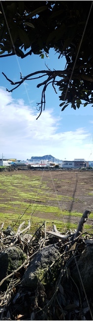 제주도,풍경,자연,섬,바다