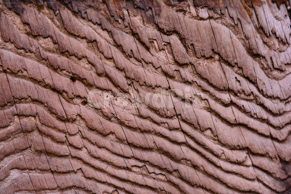 텍스쳐,패턴,나무,바탕,빈티지,배경,나뭇결,wood,백그라운드,질감,표면,texture,background,pattern,vintage,나이,흔적,무늬,텍스처,질감,패턴,texture,pattern