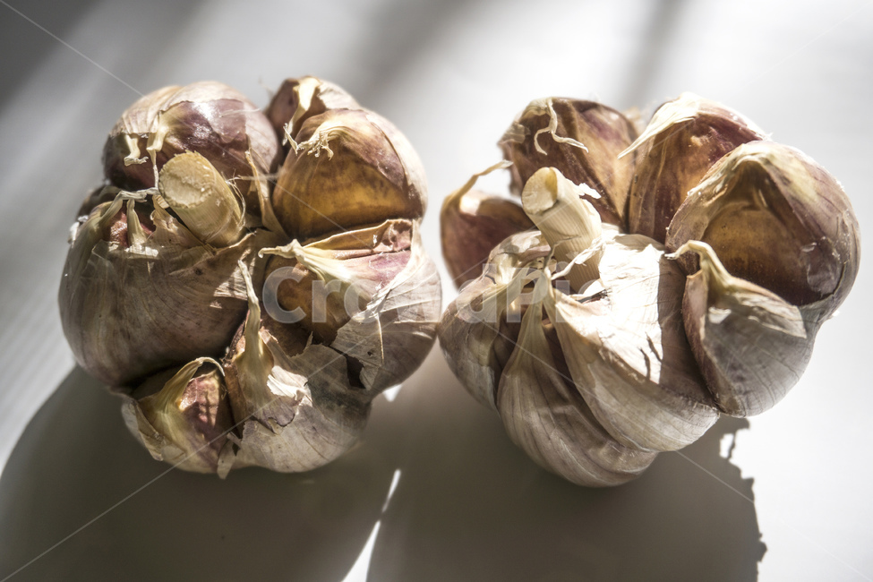 seasoning,six cloves of garlic,taste,fresh garlic,skin,nutritional value,Awesome,vegetable,anticancer,Antiaging,whole garlic,farming,ingredients,organic,garlic,ingredient,vegetarian diet,health,food ingredients,spicy,vegetarianism,nutrition,lining,Spices,