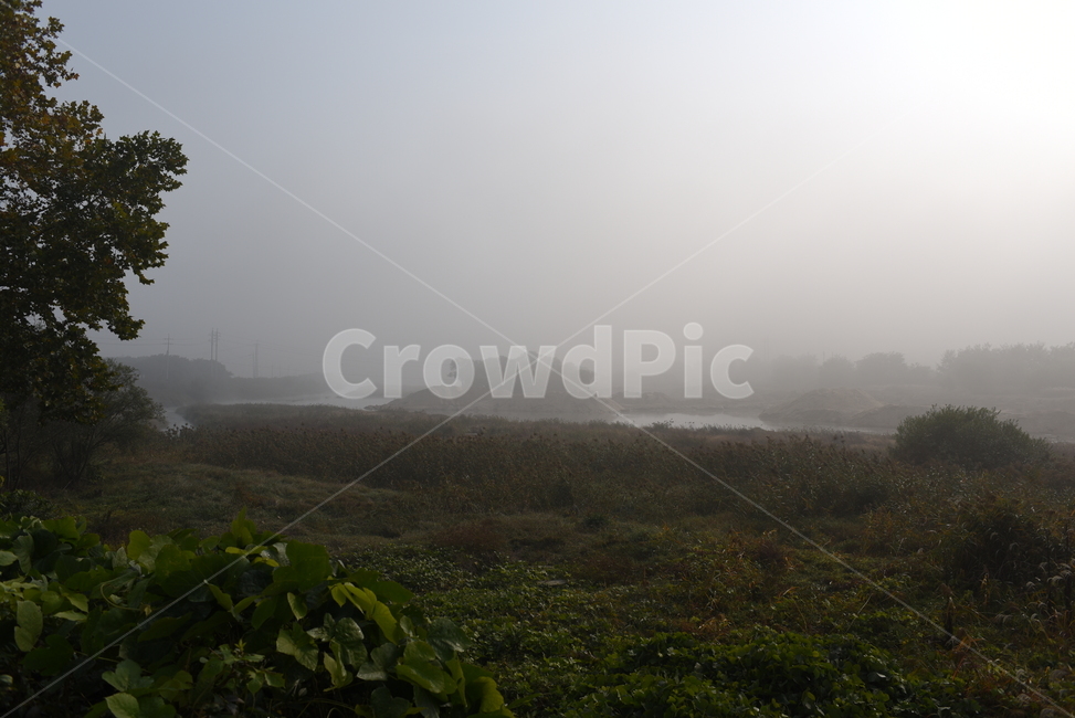 nature,자연,fog,안개,mist,가을,풍경,자연,풍경,nature,landscape