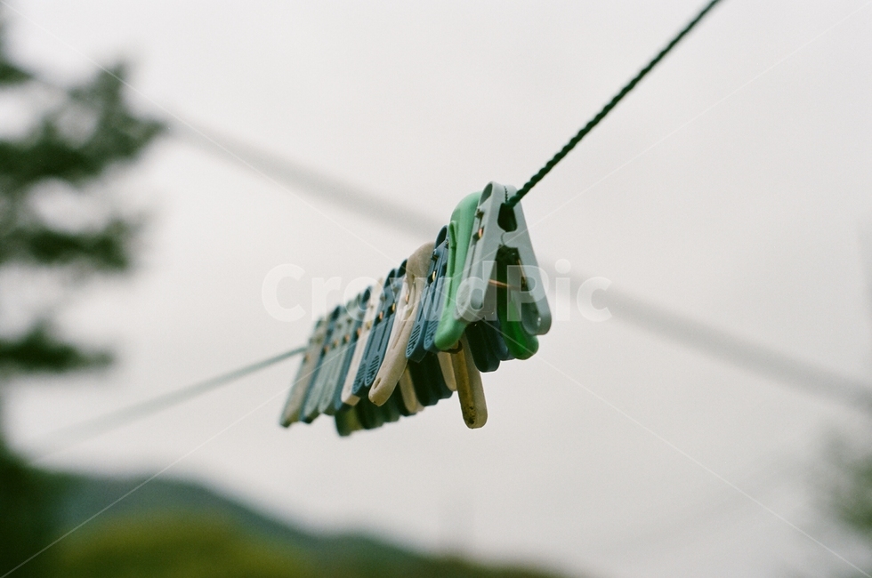 빨래집게,집게,tongs,빨랫줄,clothespin,clothesline,washingline,사물,물건,오브젝트,thing,object,matter