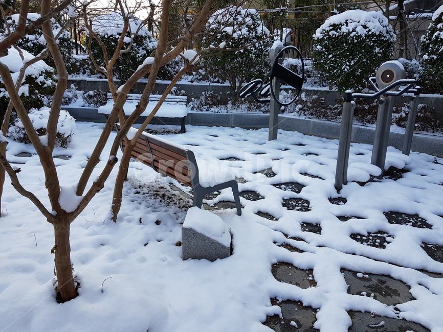 outdoors,옥외,눈,겨울,운동,건강,생활,삶,겨울,계절,winter,season