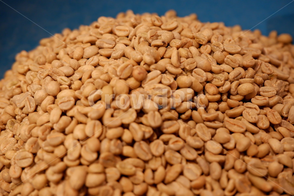 생두,로스팅,커피,원두,커피콩,roasting,bean,콩류,견과류,beans,pulse,nuts,dry fruits,커피,카페,coffee,cafe