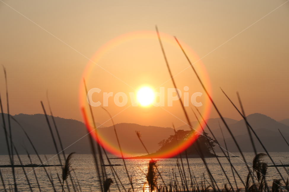 순천,순천와온해변,노을,일몰,갈대,풍경,한국자연경관,한국자연풍경,nature,landscape,자연,풍경,nature,landscape,한국자연풍경,한국자연경관,korea nature landscape,outdoors,옥외,sun,태양,sky,하늘