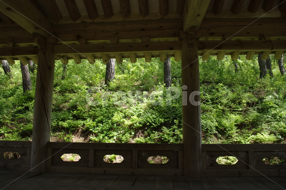 건축,전통건축,traditional,전통,나무,식물,plant,자연,nature,한국전통,한국문화,korean traditional,korean culture,건축물,건물외관,exterior,building,structure,architecture,construction