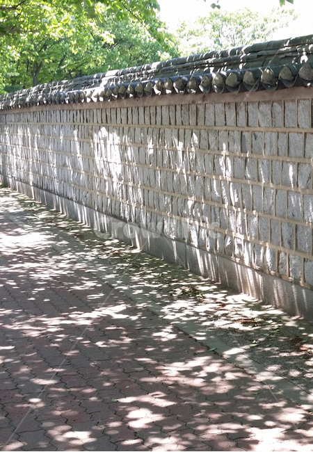 기와집,한옥,고택,나무그늘,전통,햇빛,마을,길,골목,한국전통,한국문화,korean traditional,korean culture,건축물,건물외관,exterior,building,structure,architecture,construction