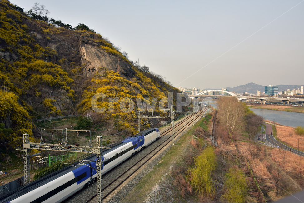 풍경,landscape,응봉산,개나리,응봉산개나리,철길,봄,계절,spring,season,자연,풍경,nature,landscape,교통,교통수단,traffic,transportation,railway,철도,rail,레일,train track,기찻길,train,기차,vehicle,차량