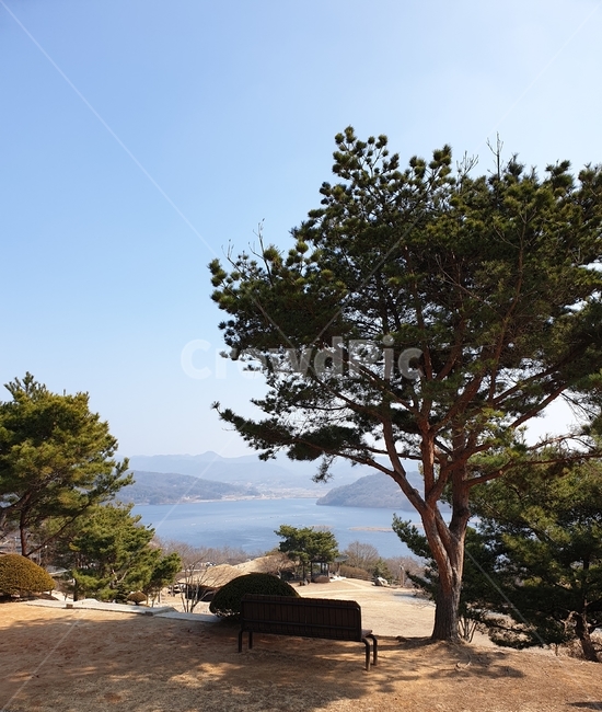 대청댐,호수,벤치,소나무,풍경,자연,풍경,nature,landscape,outdoors,옥외,building,건물,tree,나무,plant,식물