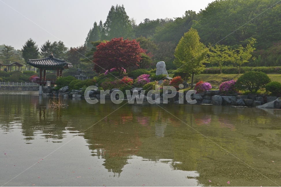 충남,대전,현충원,국립현충원,현충지,pond,못,garden,정원,연못,반영,현충지봄,철쭉,철쭉꽃,봄,계절,경치,경관,풍경,outdoors,옥외,nature,자연,water,물,plant,식물,tree,나무,정자,쉼터