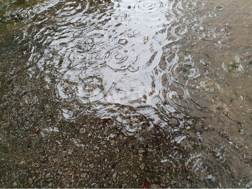빗방울,물,빗물,패턴,배경,날씨,감정,비오는날,rain,raindrops,background,weather,pattern,비,비오는날,rain,rainy