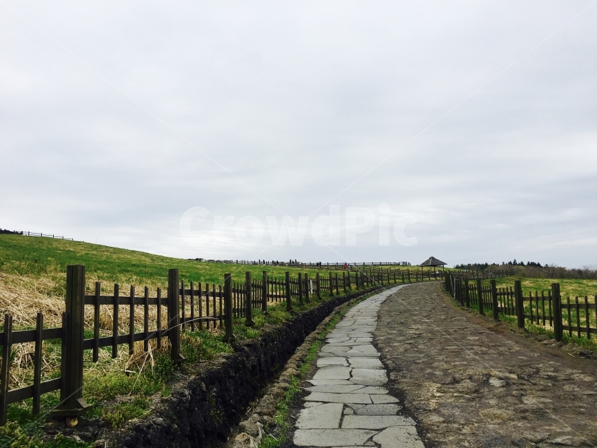 제주도,산굼부리,자연,풍경,힐링,자연,풍경,nature,landscape,한국자연풍경,한국자연경관,korea nature landscape,제주도,jeju,jeju island,outdoors,옥외