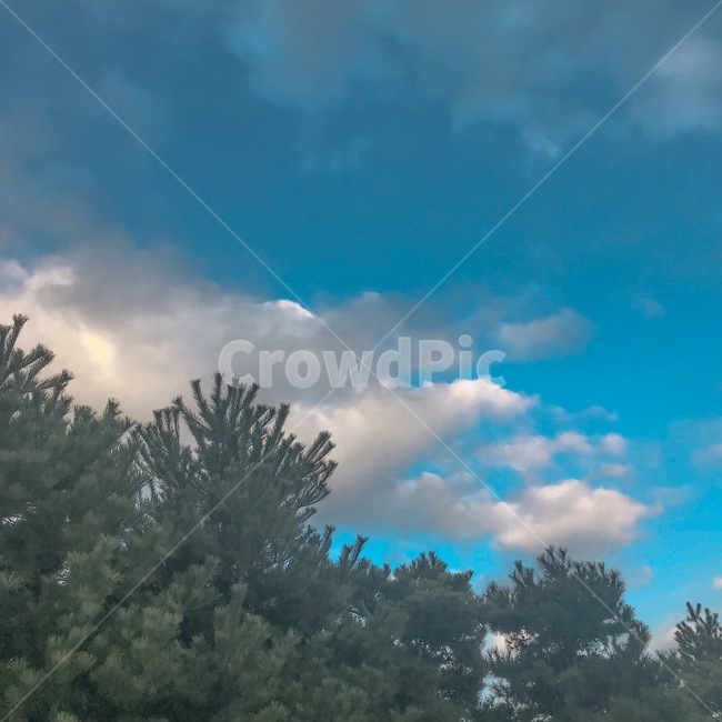 날씨,하늘,자연,nature,weather,cloud,자연,풍경,nature,landscape,outdoors,옥외,cumulus,적운,구름,sky