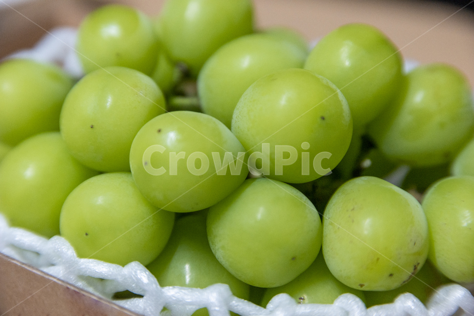 샤인머스캣,샤인머스캣,포도,과일,망고,봄,fruit,디저트,dessert,자연,nature,raisin,grape,mango,초록,건강,health,wellbeing,웰비잉,fit,당,shine,muscat,shinemuscat,green,패키지,음식,eat,food,plant,식물,grapes,식품