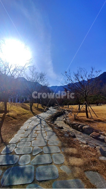 산책로,산책,공원,걷기,계단,겨울,겨울길,겨울공원,겨울산책,산길,오르막,자연,숲,길,자갈,자연,풍경,nature,landscape,path,통로,walkway,보도,pavement,포장,sidewalk