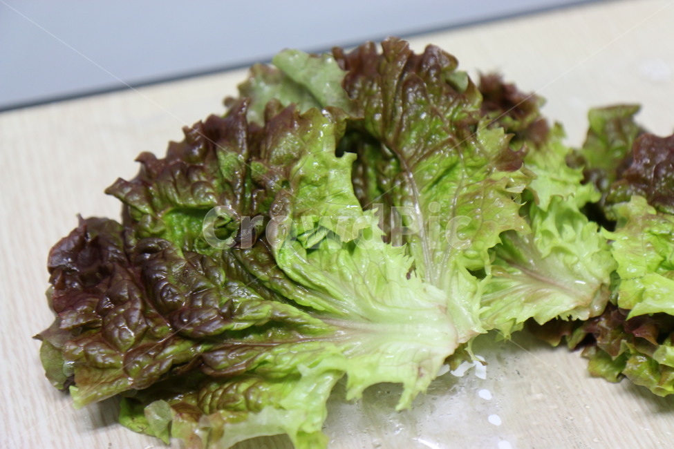상추,음식,채소,야채,쌈,음식,식재료,요리,food,cook,meal,dishes,food reserves,채소,야채,vegetables