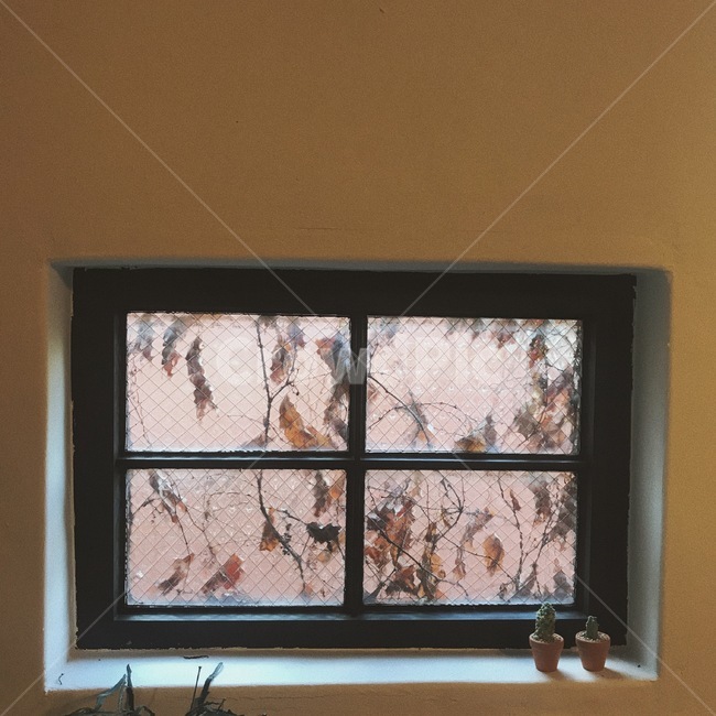 가을,창문,window,homedecor,가을창문