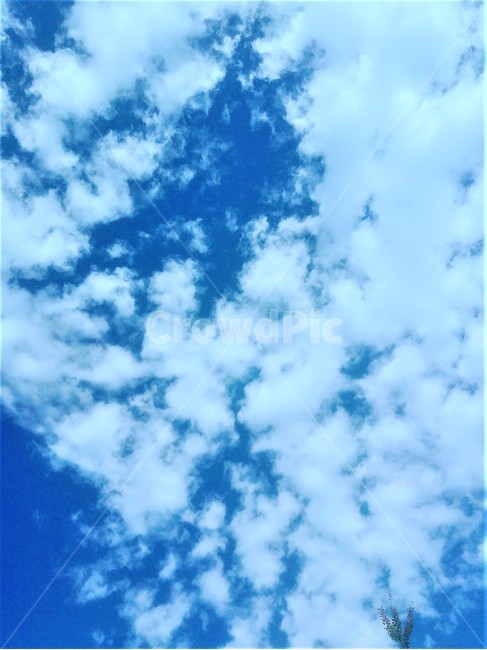 푸른하늘,하늘,자연,sky,blue,azuresky,nature
