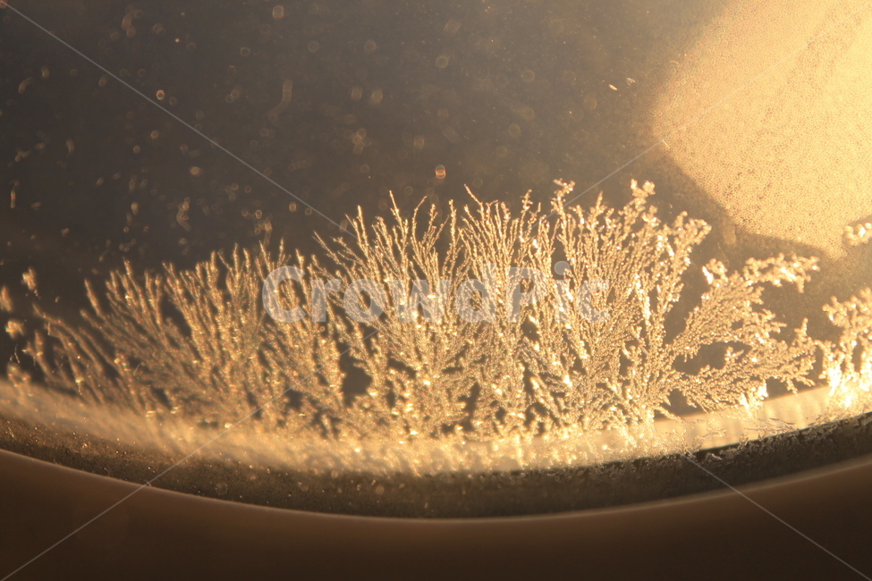 서리,꽃,창문,frost,서리꽃,frostflower,flower,planewindow,airplanewindow,겨울,계절,winter,season