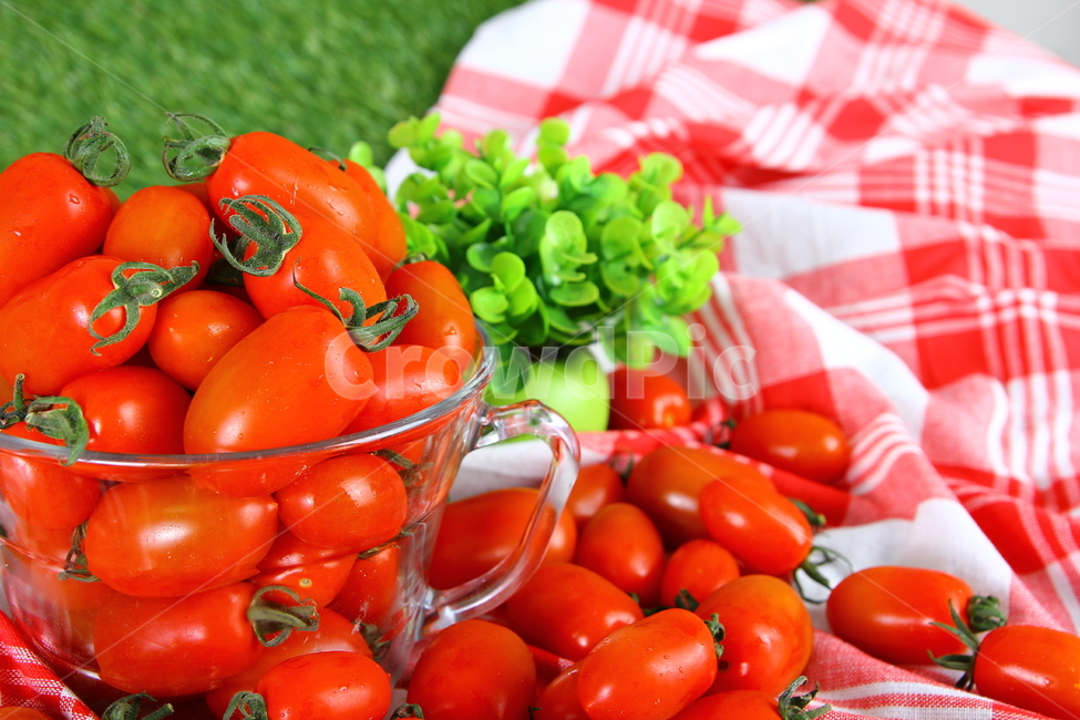 토마토,대추방울토마토,과일,야채,식품,신선,음식,빨간,tomato,jujubetomatoes,fruits,vegetables,fresh,food,red,음식,식재료,요리,food,cook,meal,dishes,food reserves,과일,열매,fruit,채소,야채,vegetables