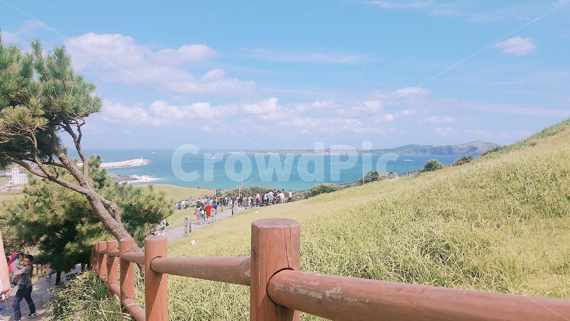들판,휴양지,바다,해양선,올레길,맑은날,날씨,맑음,구름,자연,풍경,nature,landscape,railing,난간,banister,handrail