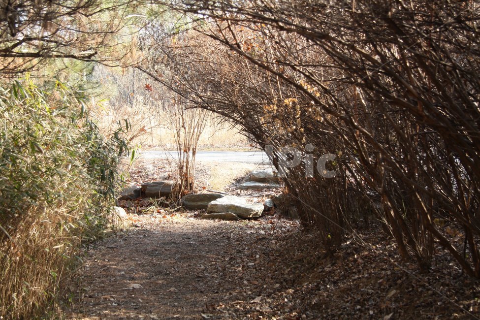 ground,바닥,road,도로,dirtroad,자갈,gravel,흙길