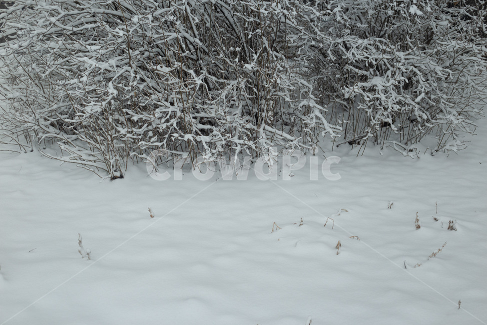 nature,자연,outdoors,옥외,snow,눈,storm,폭풍,winter,겨울,겨울,계절,winter,season