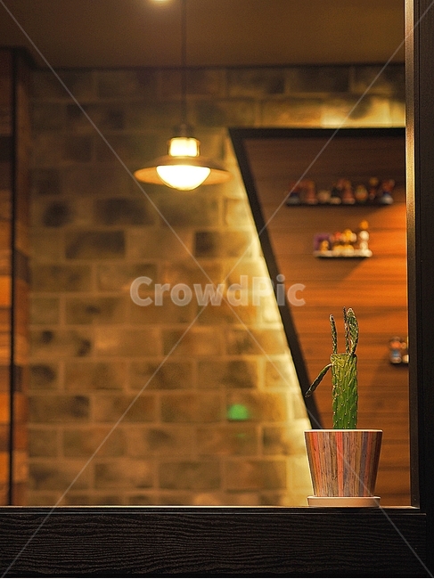 카페,선인장,조명,cactus,인테리어,인테리어,실내디자인,interior design