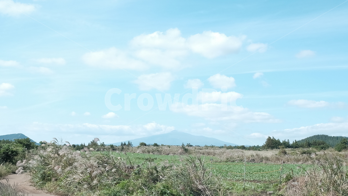 제주도,갈대,하늘,한라산,구름,sky,cloud,자연,풍경,nature,landscape,outdoors,옥외,field,들,grassland,목초지