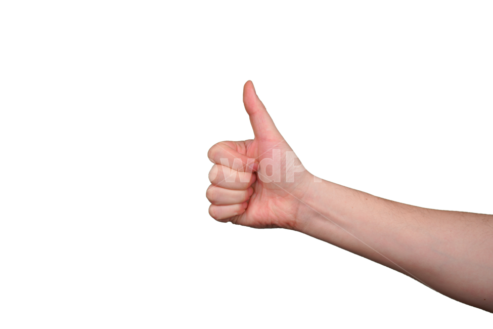 엄지손가락,우승,최고,손,손가락,표현,사인,손동작,손모양,제스쳐,신체,신체일부,표시,사람,손목,thumbsup,human,person,finger,신체일부,몸,body