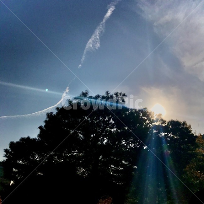 light,빛,sky,하늘,sunlight,자연,풍경,nature,landscape
