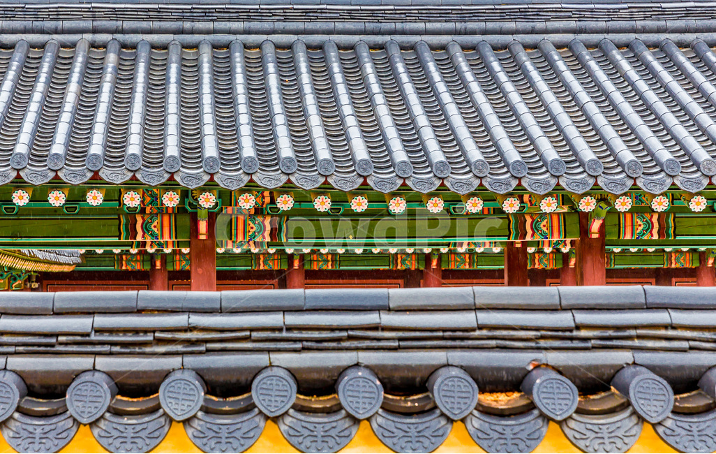 기와,문양,무늬,단청,선,고궁,한국전통,한국문화,korean traditional,korean culture,건축물,건물외관,exterior,building,structure,architecture,construction