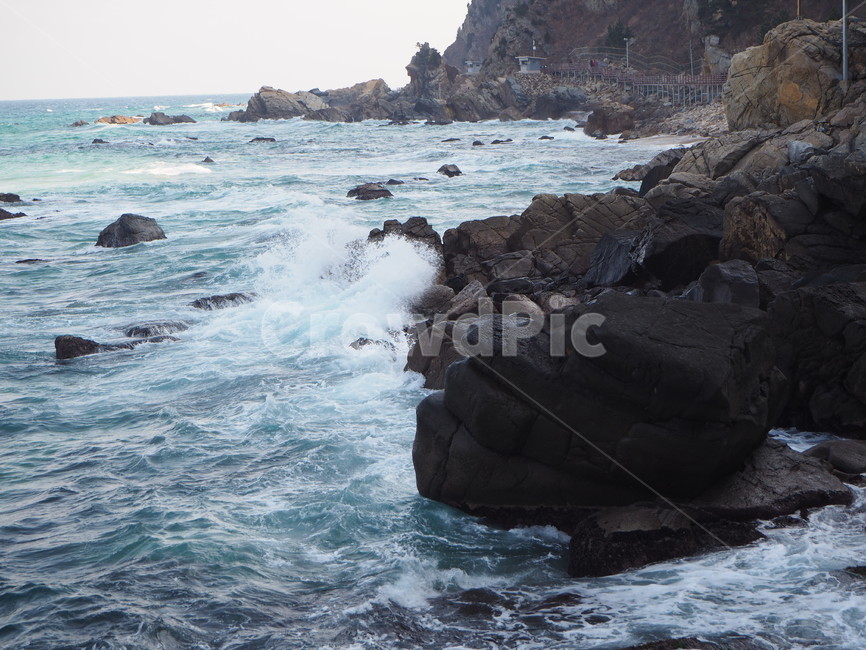 바다,동해,동해바다,푸른,푸르름,파도,풍경,겨울,파란,돌,대비,ocean,sea,wave,blue,sight,winter,일상,색감,emotion,daily,sensible,feeling,healing,snap,스냅,landscape,감성사진,자연,풍경,nature,landscape,promontory,곶