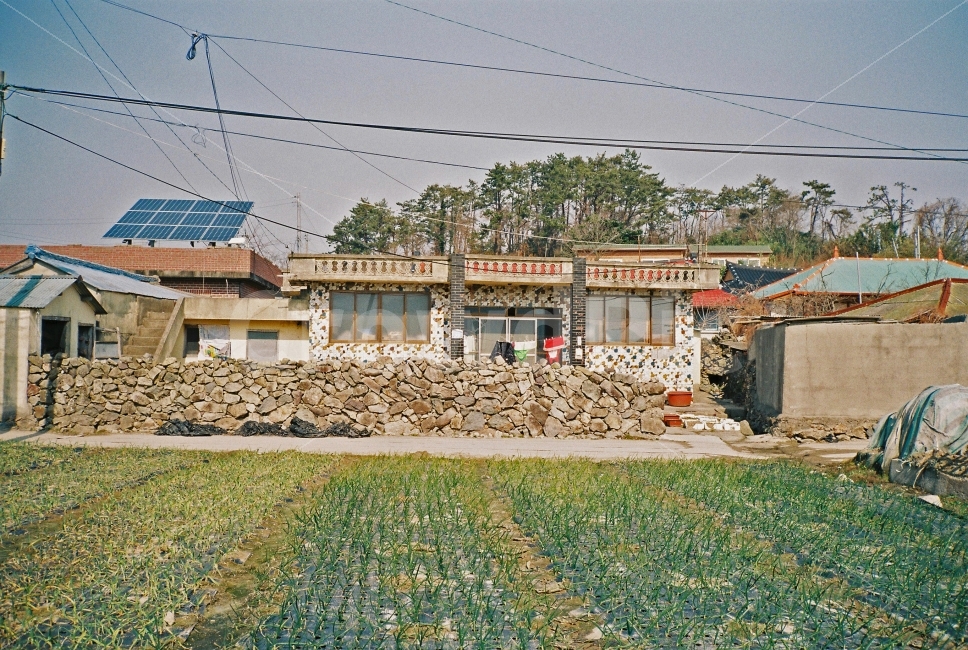 시골,밭,집,주택,풍경,하늘,구름,나무,숲,감성,필카,필름카메라,시골,마을,풍경,landscape,country,rural,town,감성,sensible,feeling