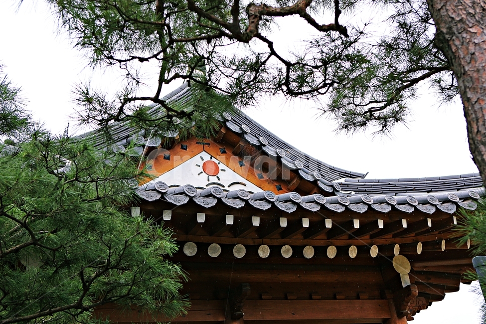 Hanok house,Hanok,nature,plant,sight,tree,tiled house,Dosol Art Museum,house,Art gallery,traditional house