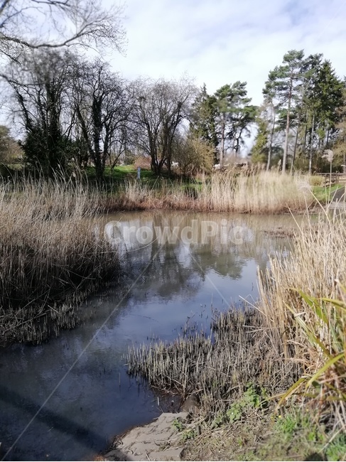 물,outdoors,옥외,water,자연,nature,연못,pond
