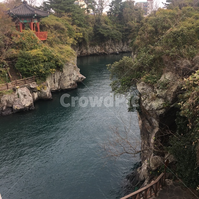 자연,nature,제주도,강,자연환경,환경,숲속,계곡,outdoors,옥외,자연,풍경,nature,landscape