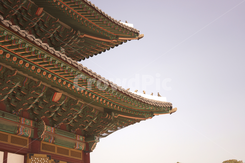 창경궁,어처구니,고궁,전통,처마,궁궐,한옥,컬러풀,무늬,문화재,palace,changgyeonggung,eaves,tradition,heritage,culturalproperties,colorful,패턴,한국전통,한국문화,korean traditional,korean culture,랜드마크,landmark,tourist attraction,한국랜드마크,한국관광지,한국명소,korea landmark,korea tourist attraction,건축물,건물외관,exterior,building,structure,architecture,construction