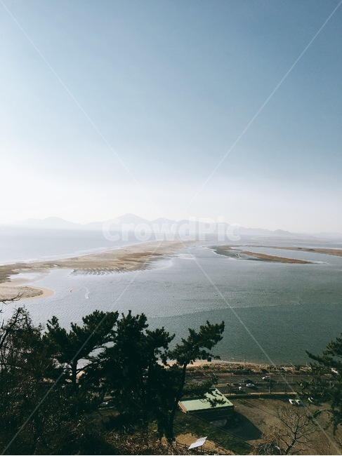 부산,햇빛,오후,전망,바다,풍경,자연,풍경,nature,landscape,land,땅,outdoors,옥외,tree,나무,plant,식물,shoreline,해안선,water,물