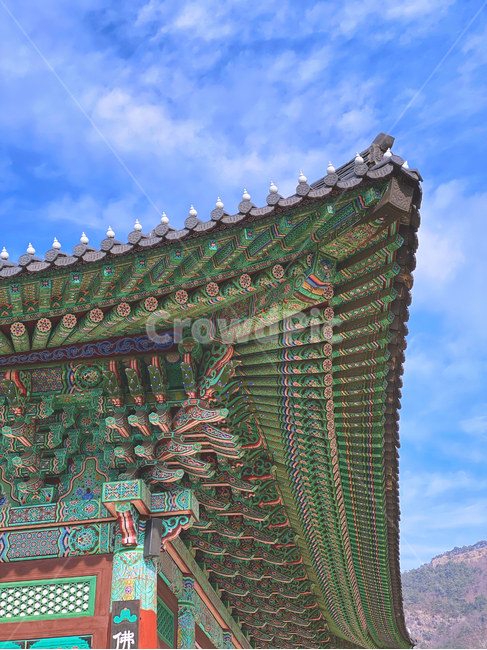 shrine,신사,worship,예배,building,건물,temple,건축물,architecture,신전,한국전통,한국문화,korean traditional,korean culture,건축물,건물외관,exterior,building,structure,architecture,construction