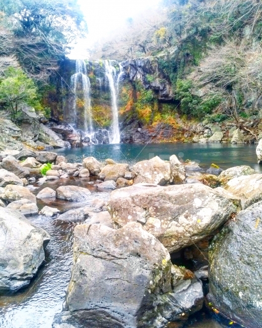 제주도,폭포,천지연폭포,물,바위,돌,나무,자연,풍경,nature,landscape,water,outdoors,옥외,river,강