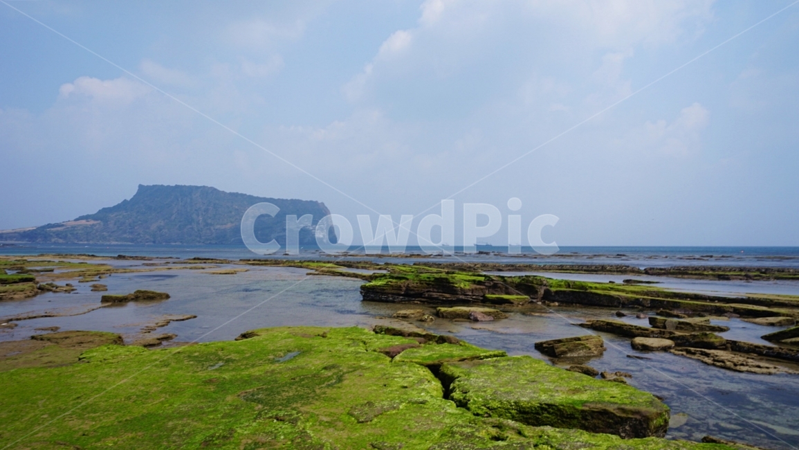 광치기해변,성산일출봉,제주도,우도,한라산,제주바다,제주여행,맑은하늘,푸른하늘,맑은바다,미세먼지,공기청정기,깨끗한공기,여행,국내여행,자연,풍경,nature,landscape,한국자연풍경,한국자연경관,korea nature landscape,해변,바다,beach,sea,제주도,jeju,jeju island,plant,식물