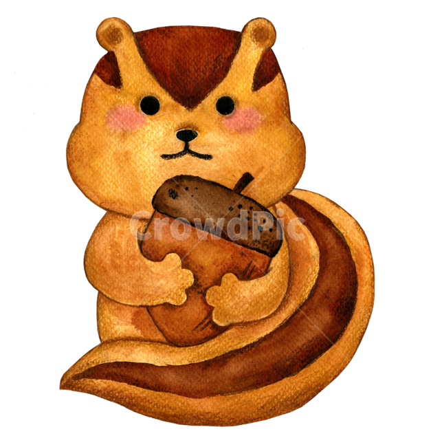 도토리,동물,다람쥐,가을,animal,squirrel,수채화,fineart,가을,계절,fall,autumn,season,그래픽,일러스트레이션,graphic,illustration