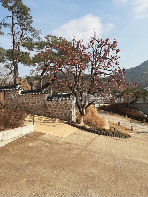 처망길,한옥,한옥길,지붕,기와집