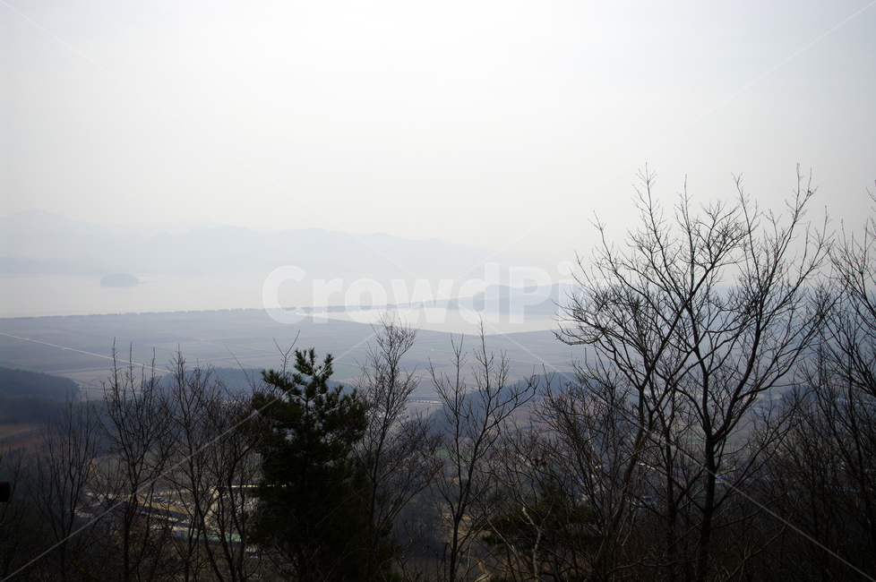 nature,자연,풍경,경치,나무,식물