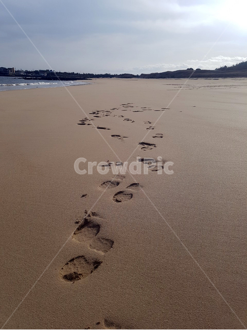 발자국,해변,모래,바다,자연,발,흔적,걸음,햇빛,광각,nature,해변,바다,beach,sea