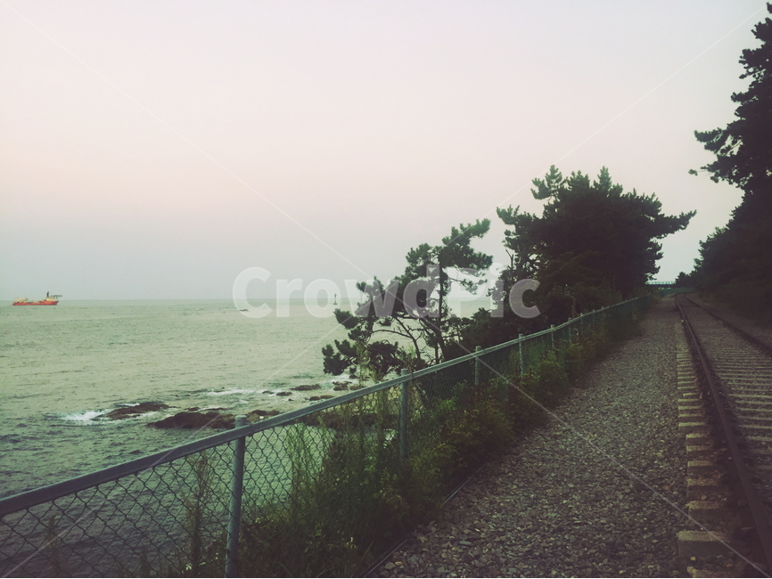 겨울바다,길,기찻길,쓸쓸,감성,감성,sensible,feeling,교통,교통수단,traffic,transportation
