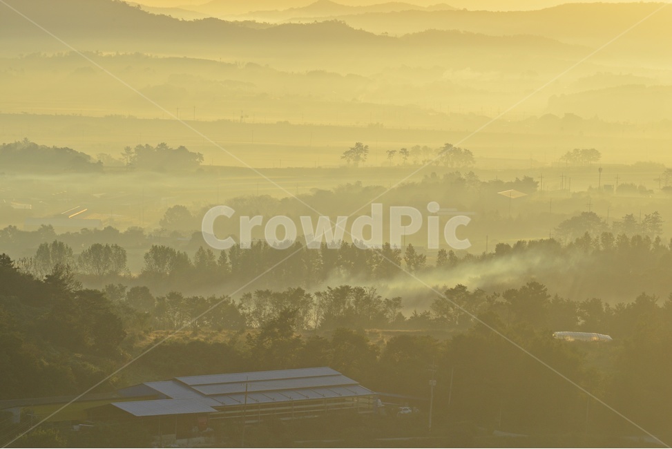 nature,자연,outdoors,옥외,mountainrange,산맥,mountain,산,scenery,풍경,landscape,경치,dawn,새벽,sky,하늘,redsky,붉은하늘,sunlight,햇빛,light,빛,flare,플레어,weather,날씨,안개,함평,밀재,밀재아침,일출,여명,해돋이,농촌들녁,농촌,농업,농사,경작,농경지,자연,풍경,nature,landscape