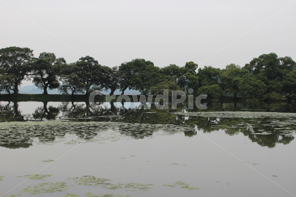 반곡지,nature,water,물,outdoors,자연,자연,풍경,nature,landscape
