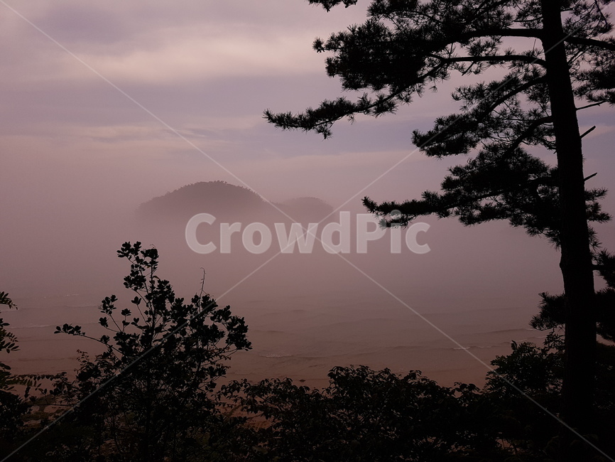 바다,서해,태안,만리포,해무,자연,풍경,nature,landscape,weather,날씨,outdoors,옥외